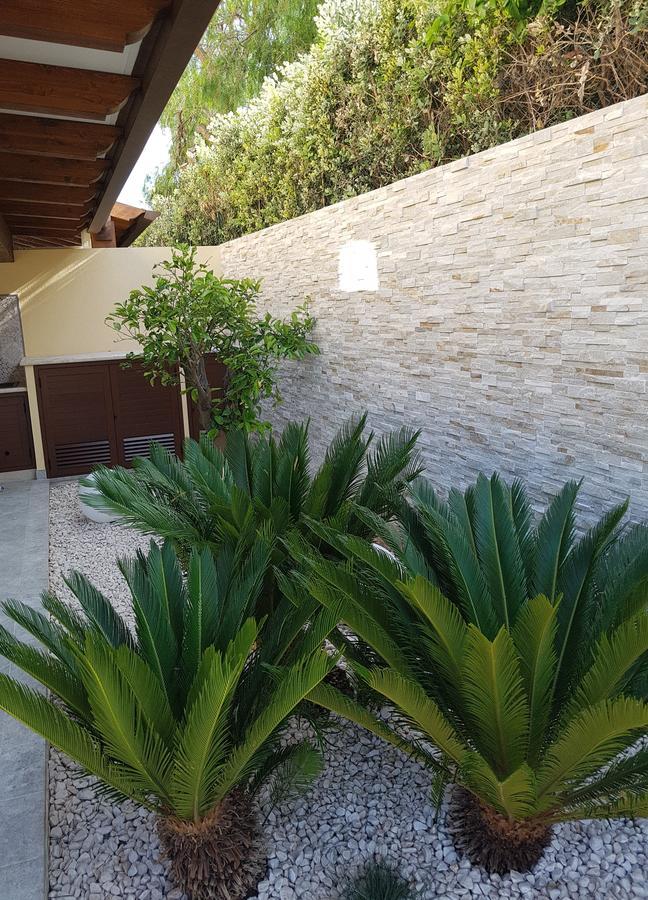 B&B Aloe Comfort Rooms San Vito Lo Capo Bagian luar foto