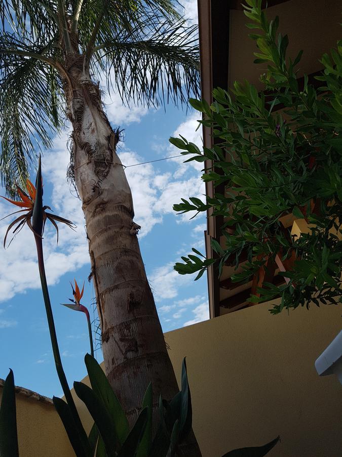 B&B Aloe Comfort Rooms San Vito Lo Capo Bagian luar foto