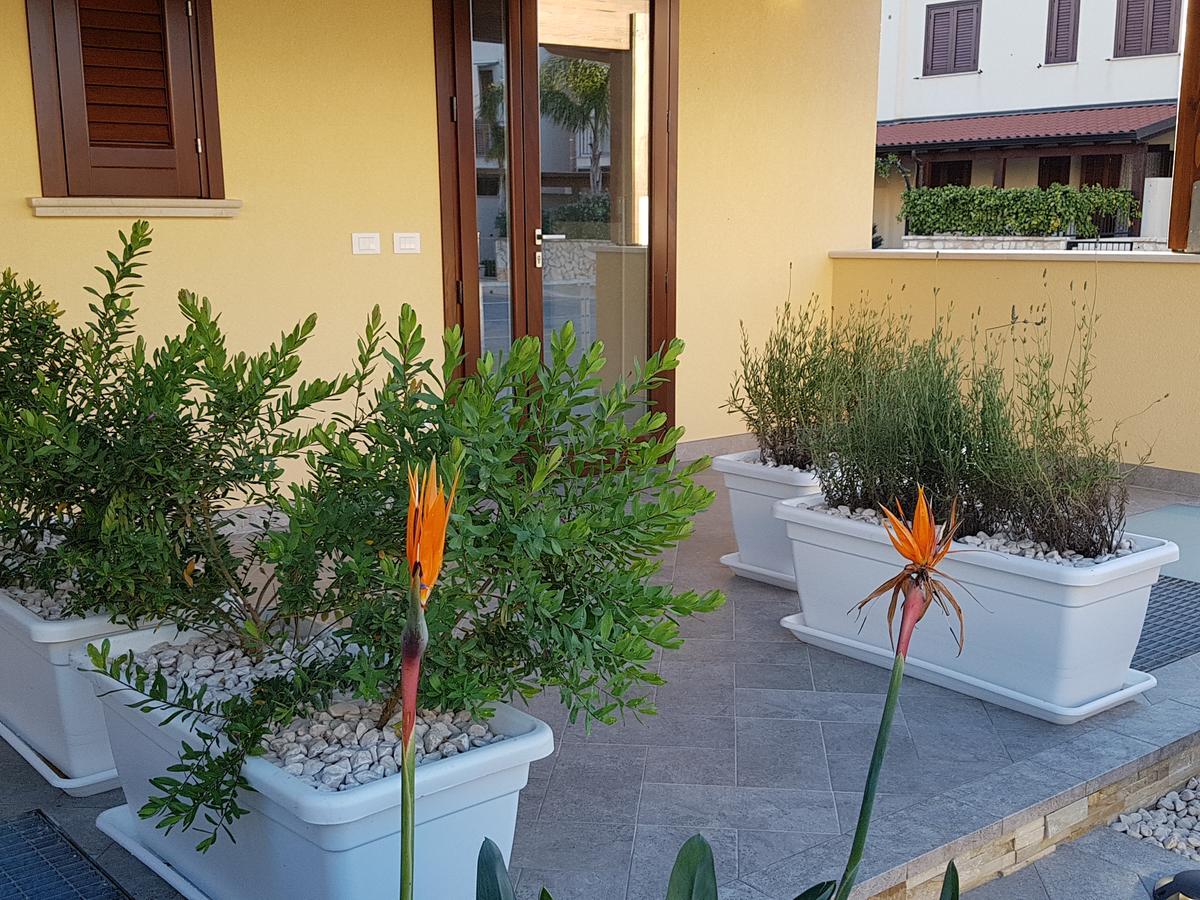 B&B Aloe Comfort Rooms San Vito Lo Capo Bagian luar foto